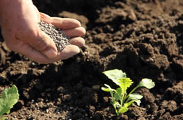Organic fertilizer raw materials