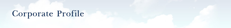 Corporate Profile