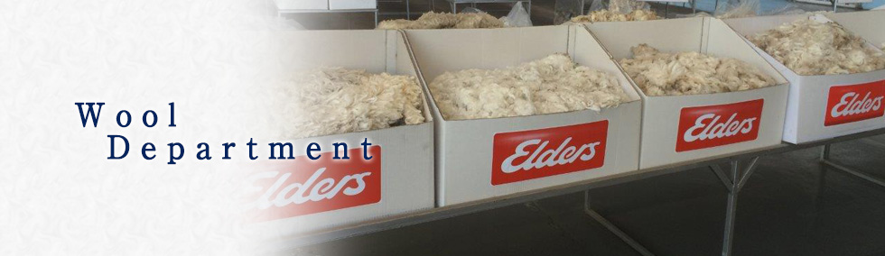 Wool Business