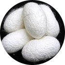 silk